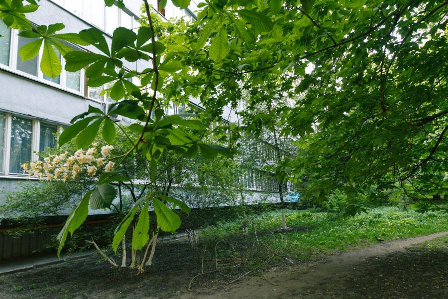 Bessarabsky Kvartal Kiev Esterno foto